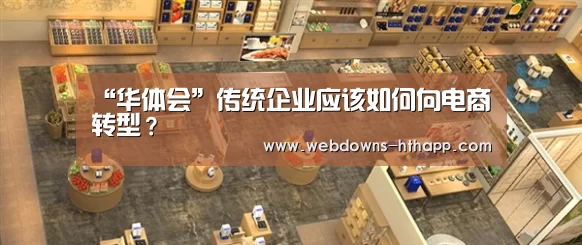 “华体会”传统企业应该如何向电商转型?(图2) 华体会