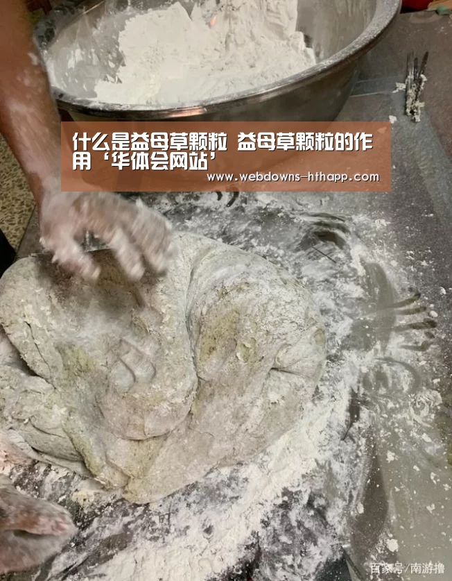 什么是益母草颗粒 益母草颗粒的作用‘华体会网站’(图3) 华体会