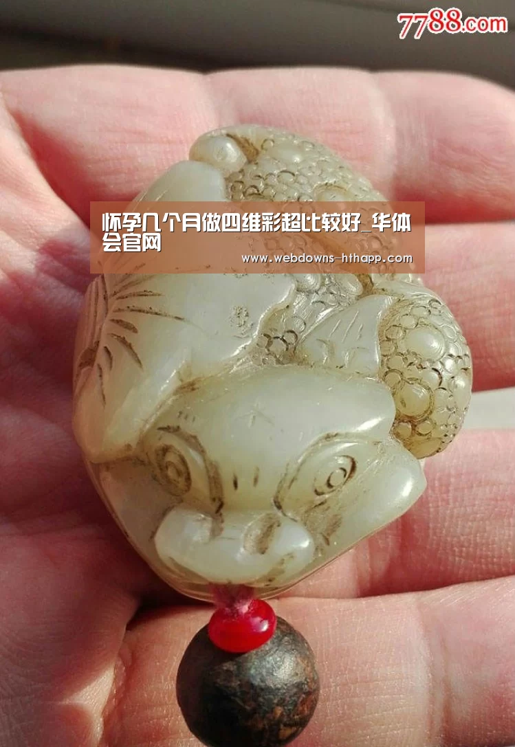 怀孕几个月做四维彩超比较好_华体会官网(图2) 华体会官方